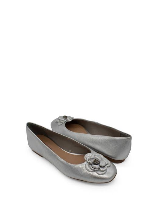 BOTTER Gray Botsamya Ballet Flat