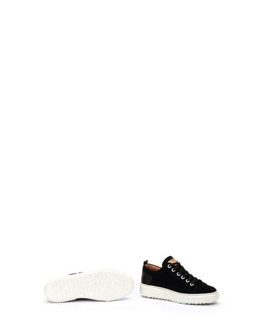 Pikolinos Black Riells Sneaker