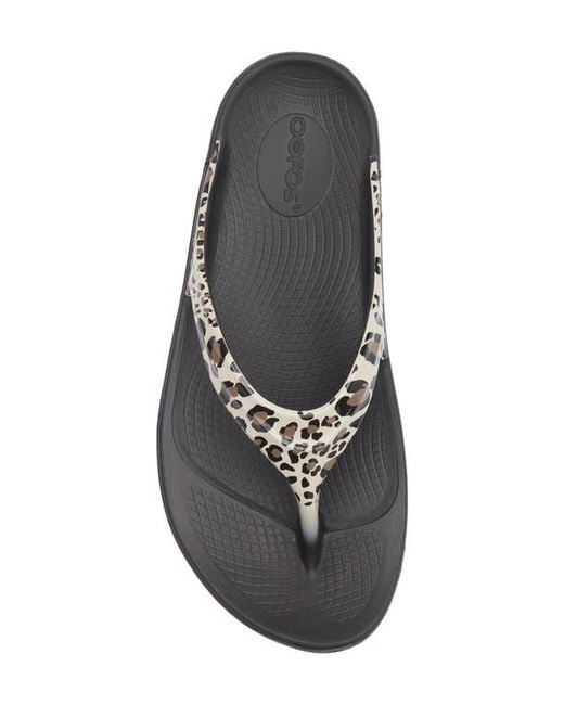 OOFOS Gray Oolala Flip Flop