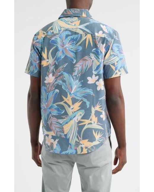 Dark Seas Blue Ritter Button-Up Shirt for men