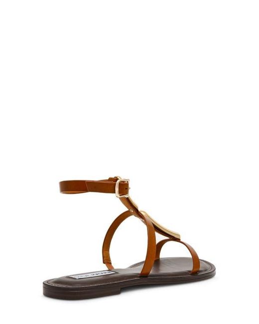 Steve Madden Brown Alma Gladiator Sandal