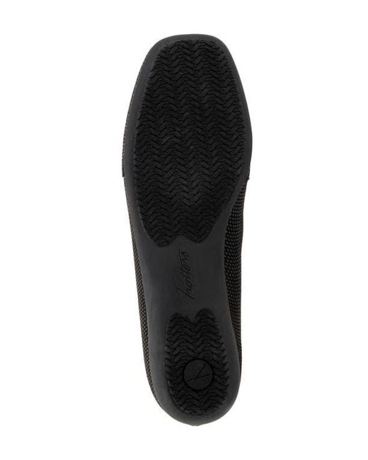 Trotters Black Sage Flat