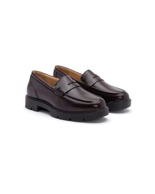 ABEO Brown Boulevard Loafer