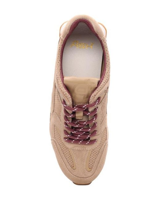 Ash Pink Kasar Sneaker