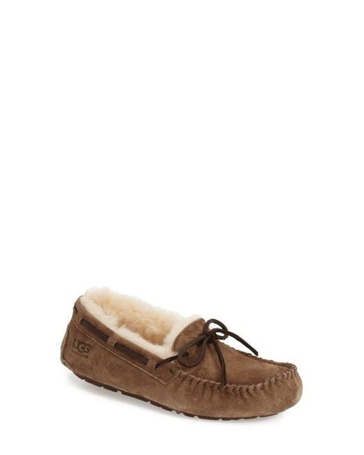 Ugg Brown Dakota Slipper
