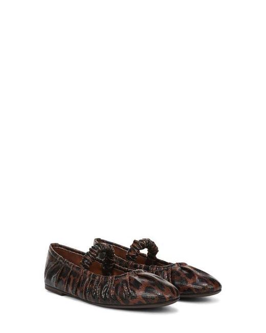 Circus by Sam Edelman Brown Blythe Flat