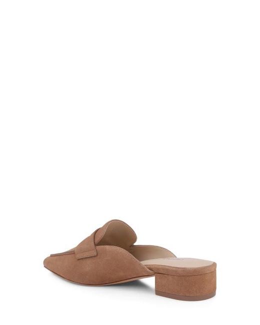 L'Agence Brown Provence Mule
