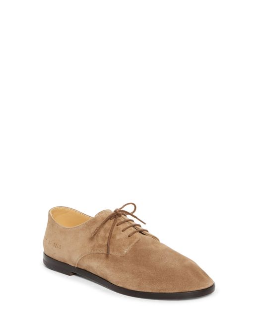 Common Projects Brown Soft Plain Toe Derby