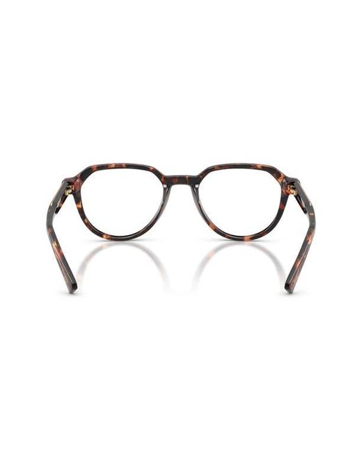 Michael Kors Brown Glasses