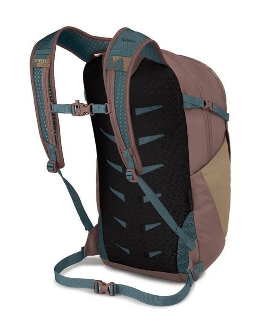 Osprey Gray Daylite Plus Backpack