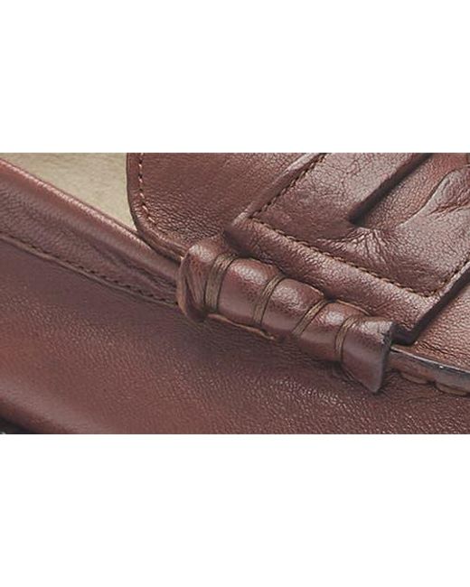 Common Projects Brown Soft Penny Loafer