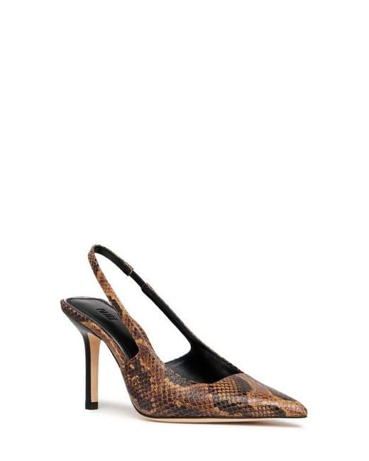 PAIGE Brown Sienna Slingback Pointed Toe Pump