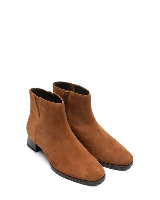 Ara Brown Galway Bootie
