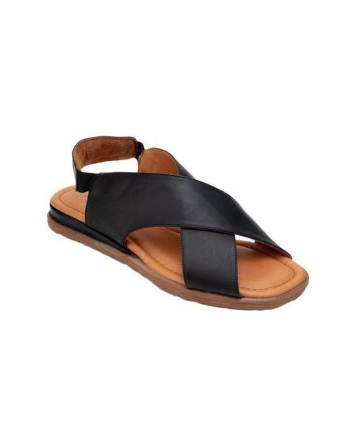 Forever & Always Shoes Multicolor Broods Elastic Leather Slip On Sandals