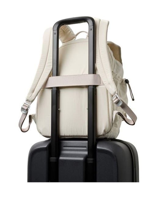 Bellroy White Cinch 20L Backpack