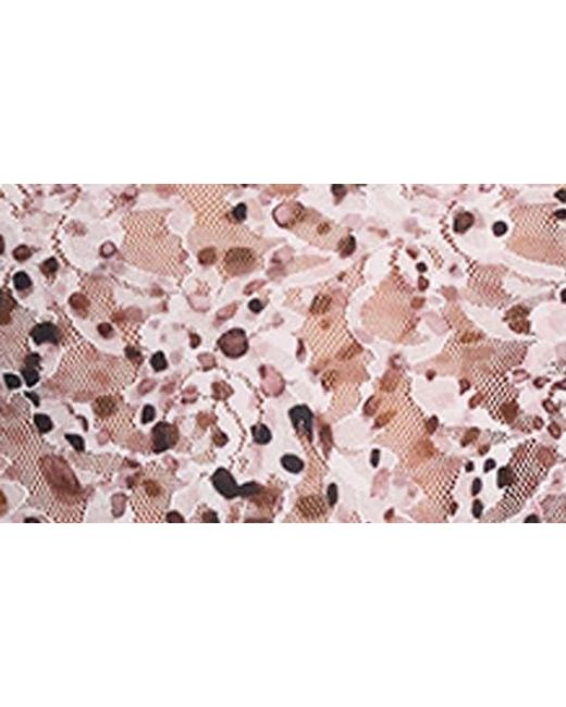 Hanky Panky Brown Print Lace Briefs