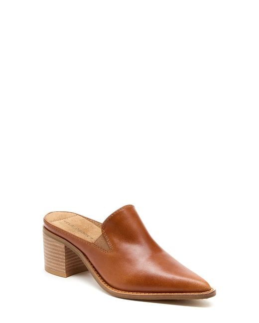 Kelsi Dagger Brooklyn Brown Mason Pointed Toe Mule
