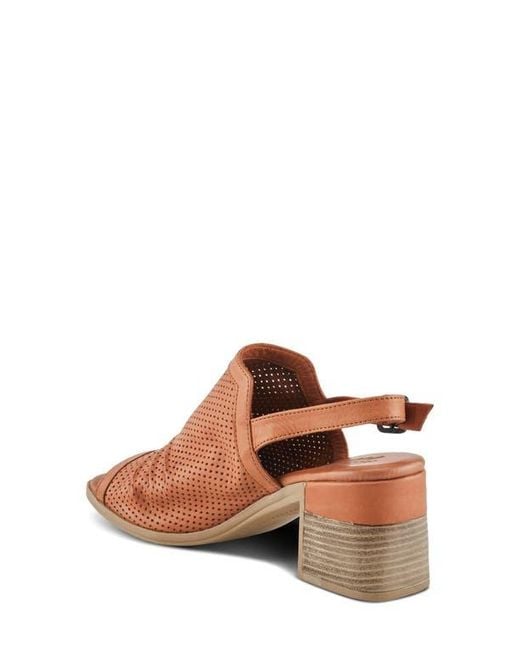 Spring Step Brown Noctium Slingback Sandal