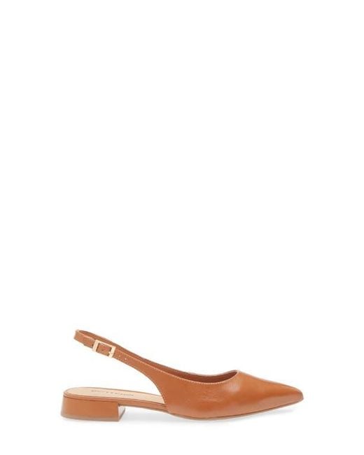 BOTTER Women's Brown Alessandra Slingback Pointed Toe Flat