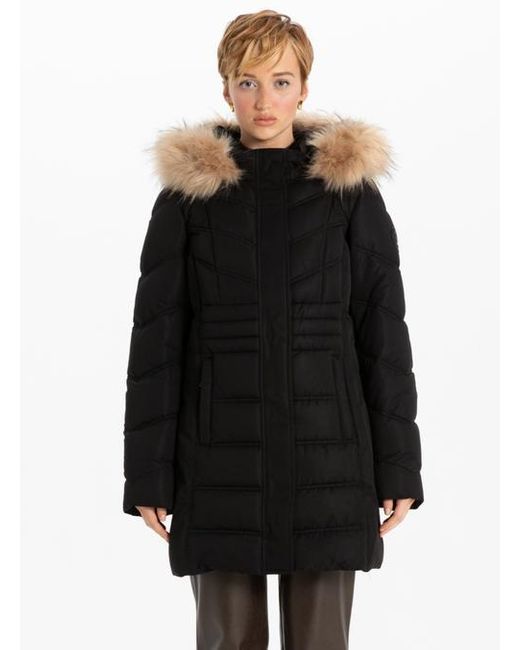 Point Zero Black Jacket Perfection