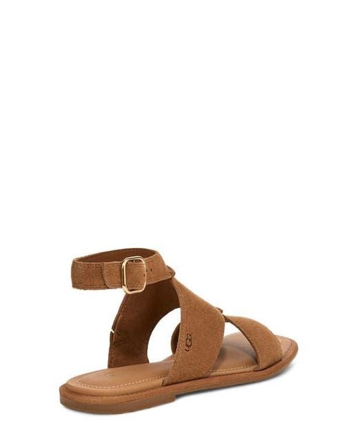 Ugg Brown Delray Ankle Strap Sandal
