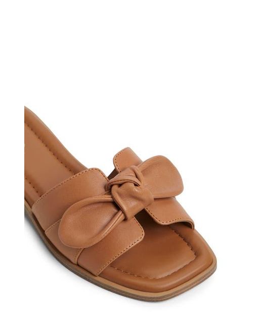 ALDO Brown Lavinia Slide Sandal