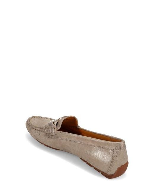 Vaneli Brown Aiker Driving Loafer