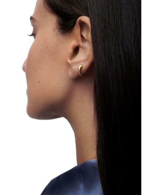 Pdpaola Metallic Loop Single Hoop