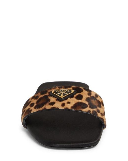 Prada Animal Print Genuine Calf Hair Slide Sandal in Brown