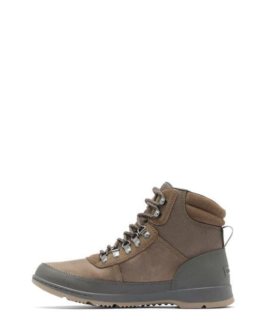 Sorel Brown Ankeny Ii Waterproof Hiking Boot for men