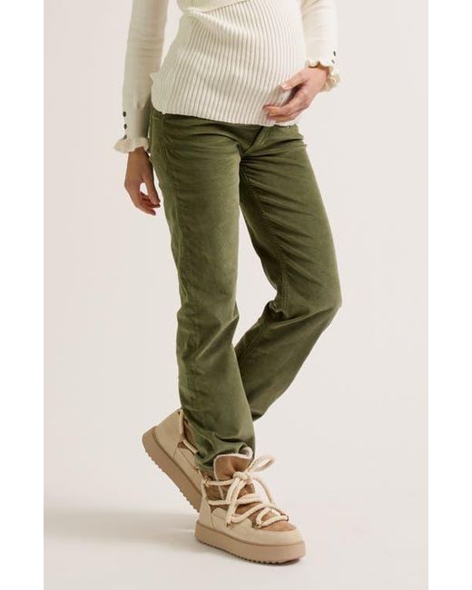 Cache Coeur Green William Maternity Pants