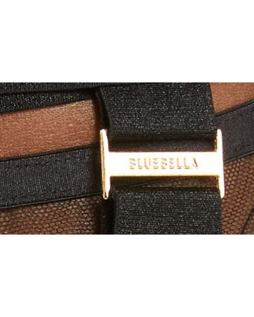 Bluebella Brown Trinity Harness Garter Belt