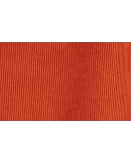 Bode Red Stripe Trim Corduroy Track Pants for men