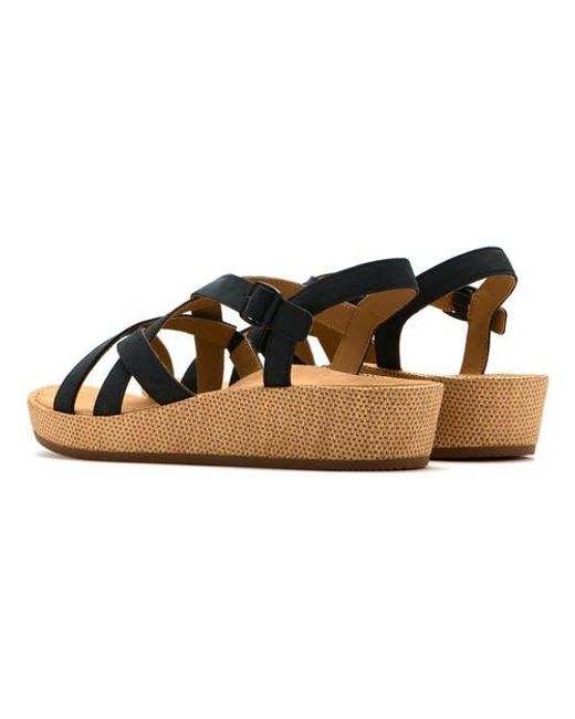 ABEO Blue Soleil Cross