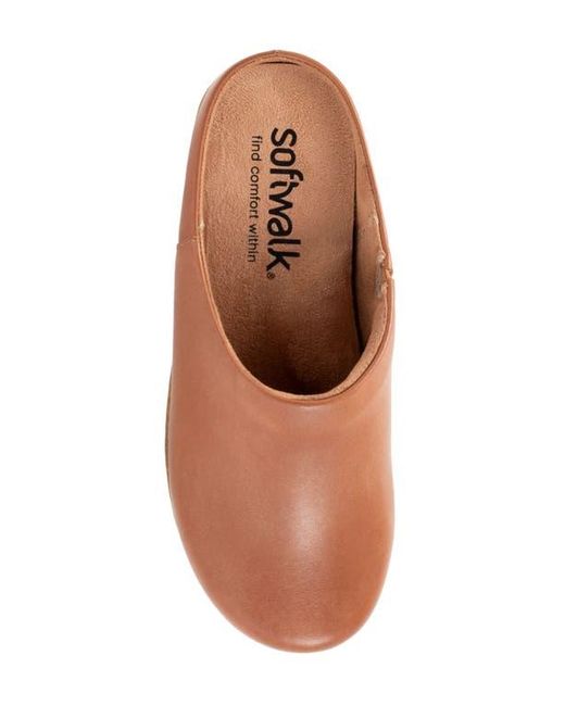 Softwalk® Brown Arvada Mule