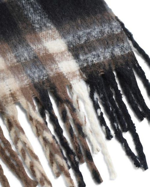 Belle & Bloom Brown Timeless Scarf