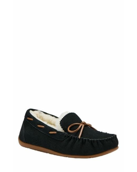 ABEO Black Amble Bow Slipper