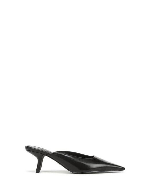 Sam Edelman Black Brandy Pointed Toe Mule