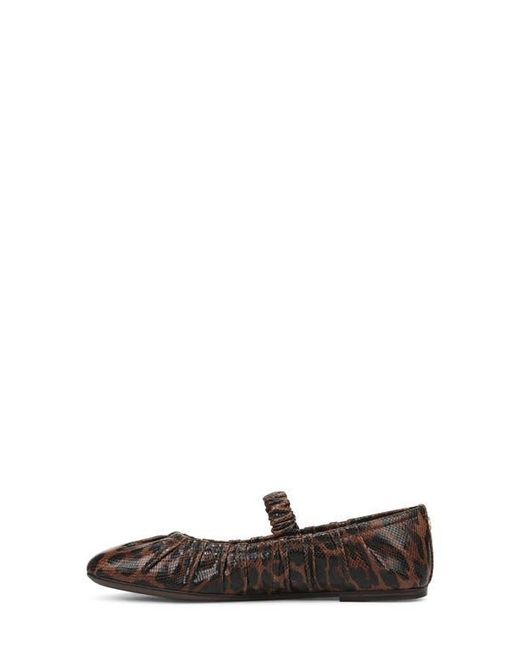 Circus by Sam Edelman Brown Blythe Flat