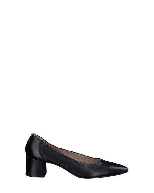 Paul Green Blue Yvette Pointed Toe Pump