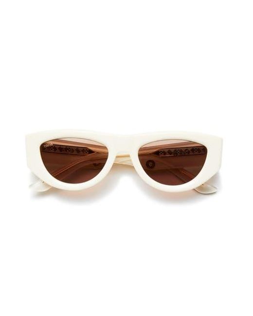 VADA Brown Tokio Sunglasses
