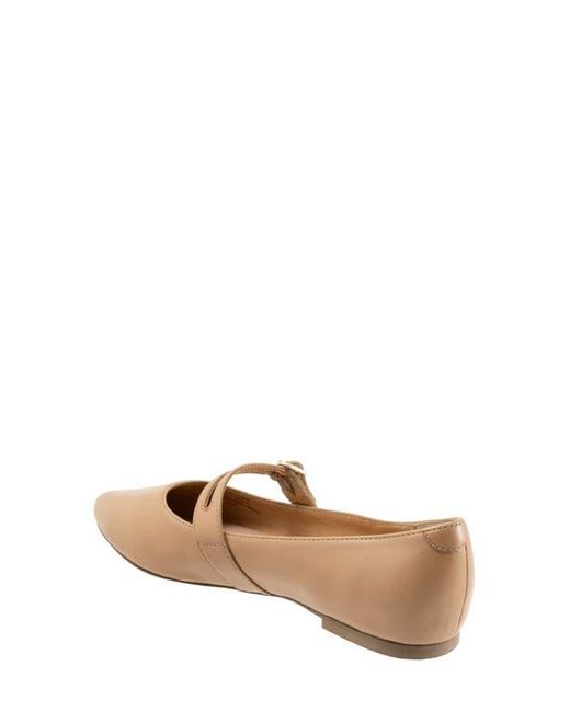 Trotters Brown Emerald Pointed Toe Mary Jane Flat