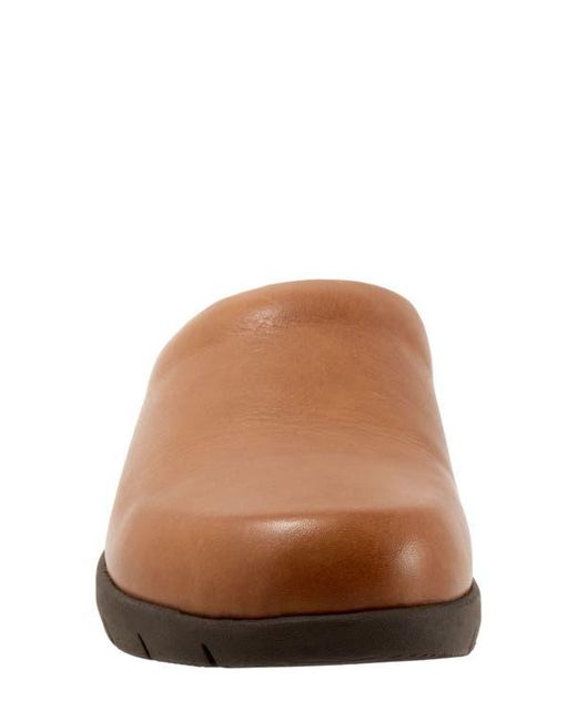 Softwalk® Brown Andria Mule