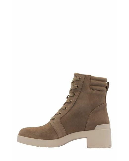 ABEO Brown Capital Lace Boot