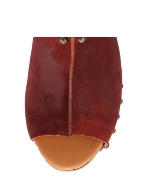 Dingo Brown Echo Clog