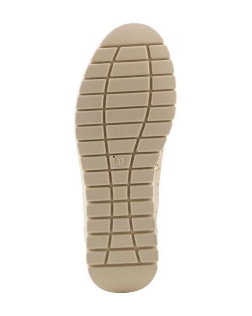 Flexus by Spring Step Natural Rayfield Sneaker