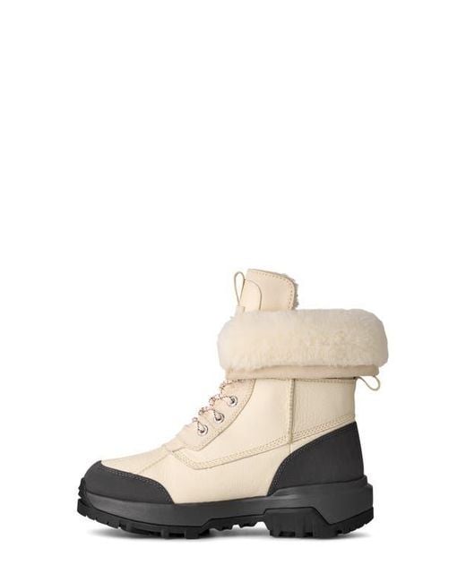 Ugg Multicolor Adirondack Xxv Waterproof Boot
