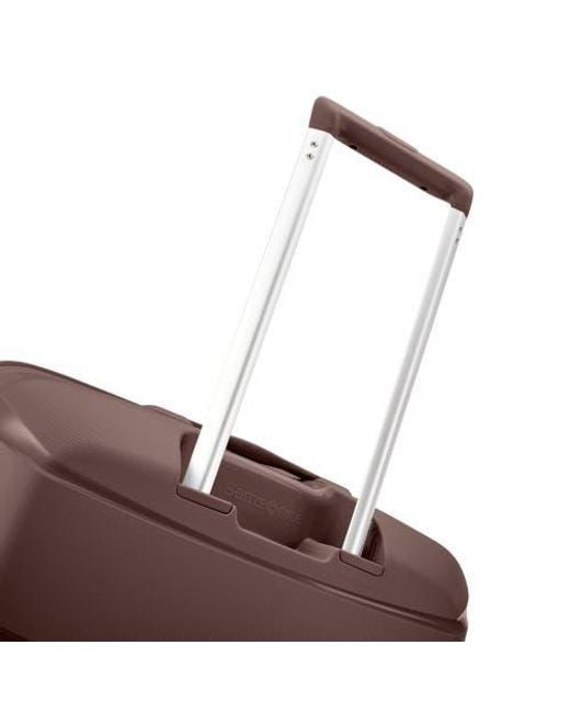 Samsonite Brown Outline Pro Medium Spinner