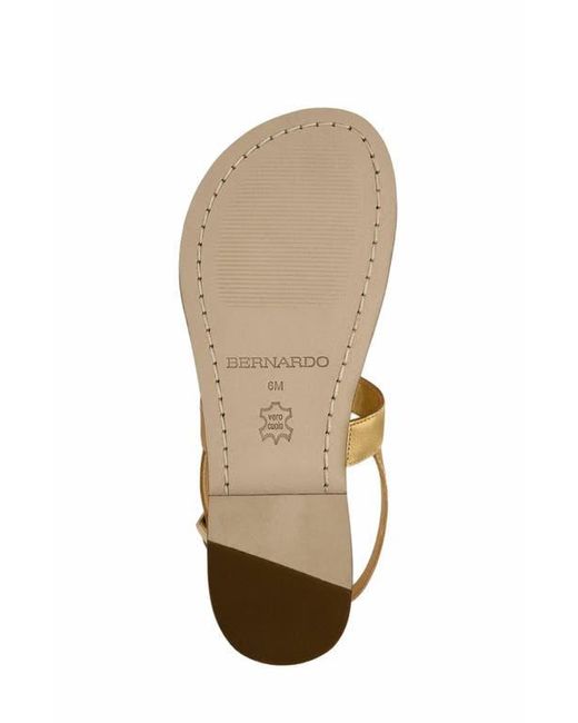 Bernardo Natural Maverick 2 Toe Loop Sandal