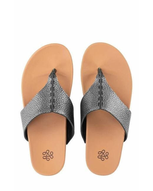 The Sak Metallic Everly Sandal